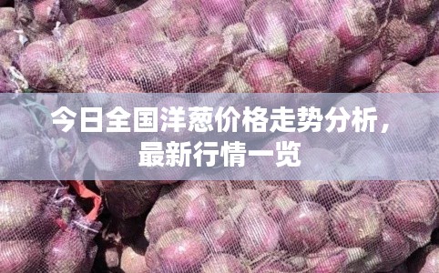 今日全國洋蔥價(jià)格走勢(shì)分析，最新行情一覽