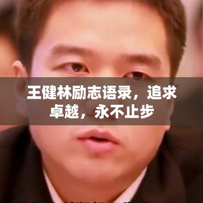 王健林勵志語錄，追求卓越，永不止步