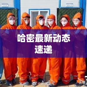 哈密最新動(dòng)態(tài)速遞