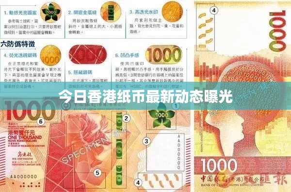 今日香港紙幣最新動態(tài)曝光
