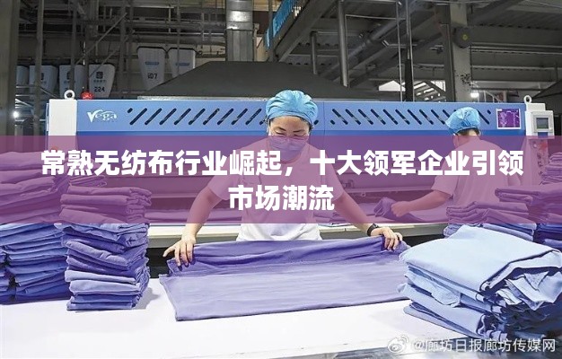 常熟無紡布行業(yè)崛起，十大領(lǐng)軍企業(yè)引領(lǐng)市場潮流