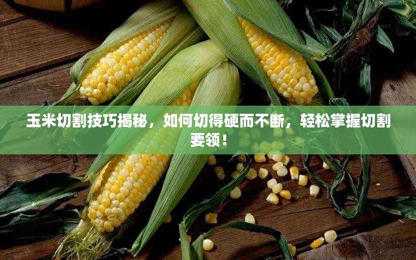 玉米切割技巧揭秘，如何切得硬而不斷，輕松掌握切割要領！