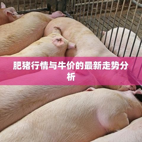 肥豬行情與牛價(jià)的最新走勢分析