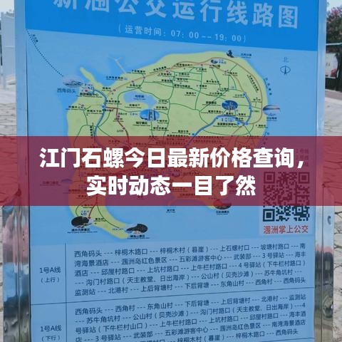 江門石螺今日最新價格查詢，實時動態(tài)一目了然