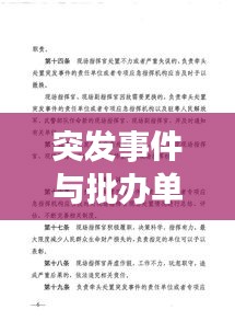 突發(fā)事件與批辦單應(yīng)對策略與管理之道解析