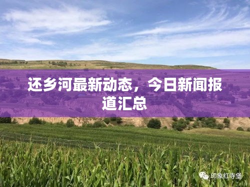 還鄉(xiāng)河最新動態(tài)，今日新聞報道匯總