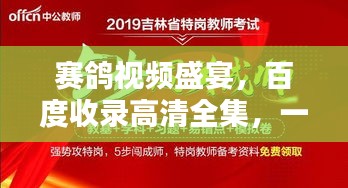 賽鴿視頻盛宴，百度收錄高清全集，一睹為快！