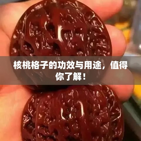 核桃格子的功效與用途，值得你了解！