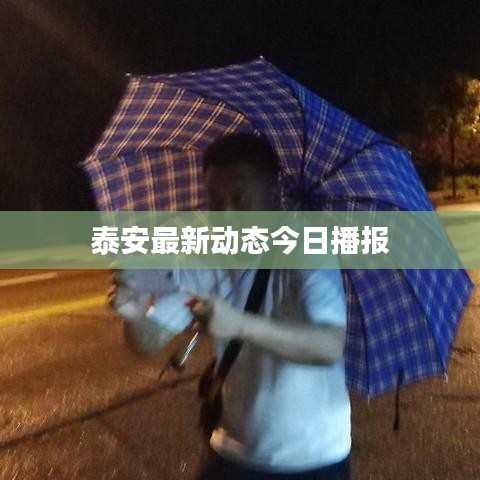泰安最新動態(tài)今日播報