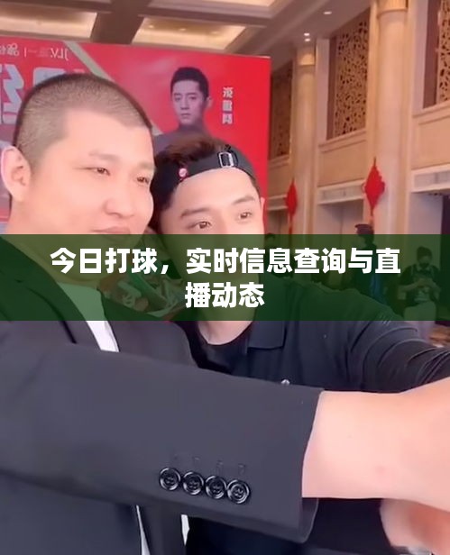 今日打球，實時信息查詢與直播動態(tài)