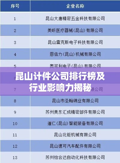 昆山計(jì)件公司排行榜及行業(yè)影響力揭秘