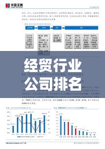 經(jīng)貿(mào)行業(yè)公司排名大揭秘，深度解析企業(yè)影響力！
