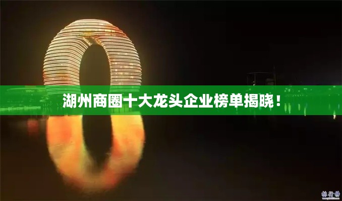 湖州商圈十大龍頭企業(yè)榜單揭曉！