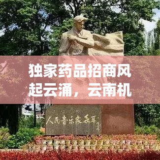 獨家藥品招商風起云涌，云南機遇挑戰(zhàn)并存，醫(yī)藥市場新風向