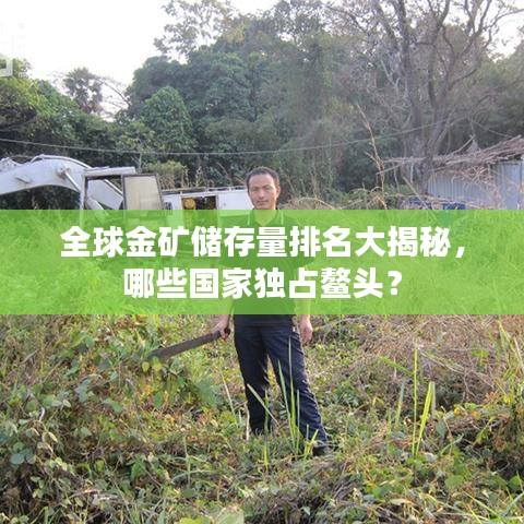 全球金礦儲(chǔ)存量排名大揭秘，哪些國家獨(dú)占鰲頭？