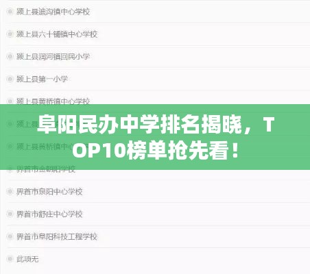 慎重其事 第2頁(yè)