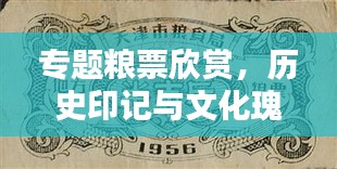 專題糧票欣賞，歷史印記與文化瑰寶的獨(dú)特魅力