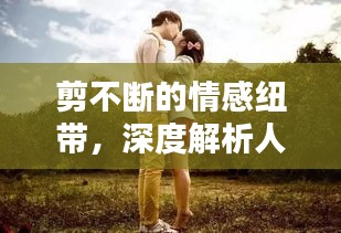 剪不斷的情感紐帶，深度解析人與情感的糾纏紐帶