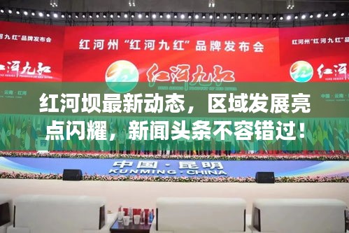 紅河壩最新動(dòng)態(tài)，區(qū)域發(fā)展亮點(diǎn)閃耀，新聞?lì)^條不容錯(cuò)過(guò)！