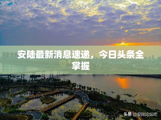 安陸最新消息速遞，今日頭條全掌握