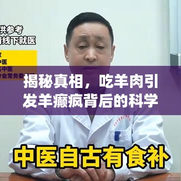 揭秘真相，吃羊肉引發(fā)羊癲瘋背后的科學解讀