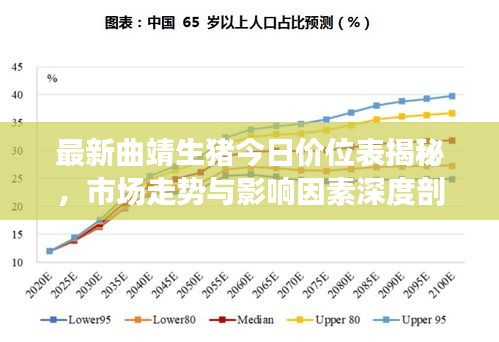 最新曲靖生豬今日價(jià)位表揭秘，市場(chǎng)走勢(shì)與影響因素深度剖析