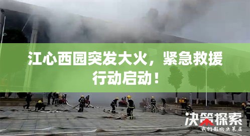 江心西園突發(fā)大火，緊急救援行動啟動！