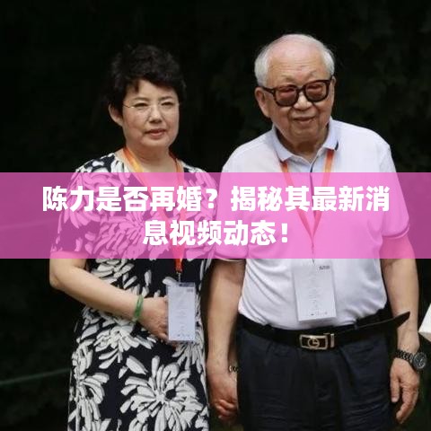 陳力是否再婚？揭秘其最新消息視頻動(dòng)態(tài)！