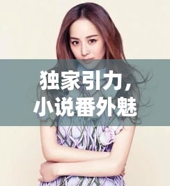 獨(dú)家引力，小說番外魅力大揭秘