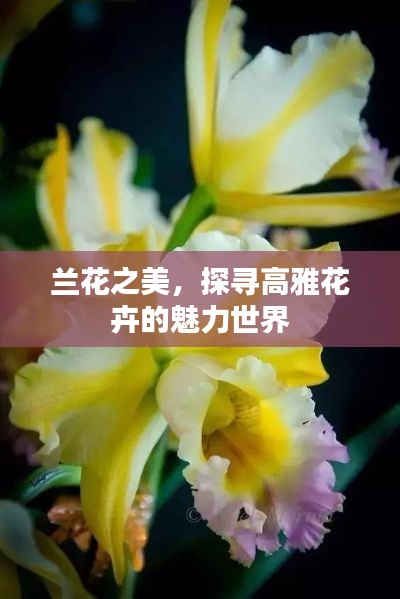 admin 第2頁