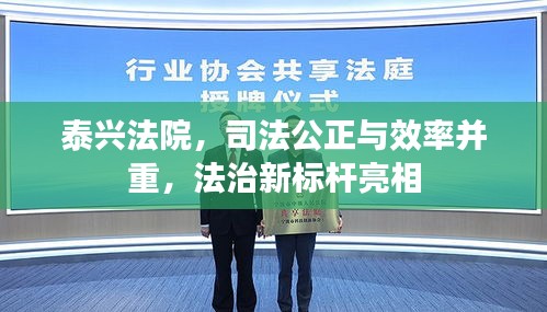 泰興法院，司法公正與效率并重，法治新標(biāo)桿亮相