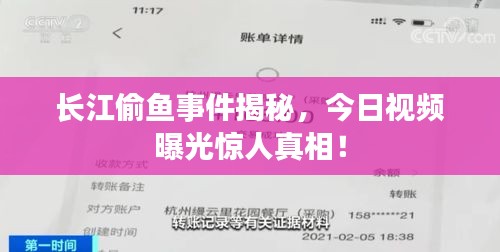 長江偷魚事件揭秘，今日視頻曝光驚人真相！