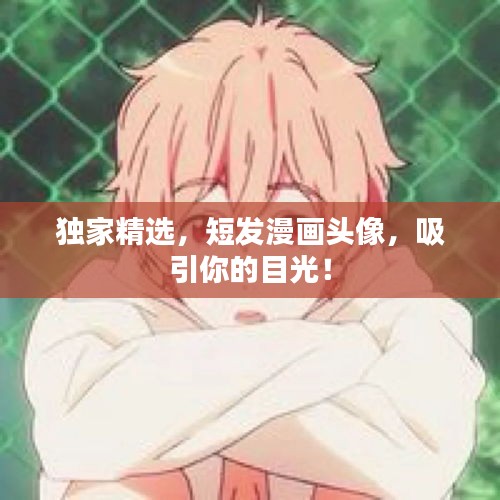 獨家精選，短發(fā)漫畫頭像，吸引你的目光！