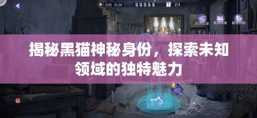 揭秘黑貓神秘身份，探索未知領(lǐng)域的獨特魅力