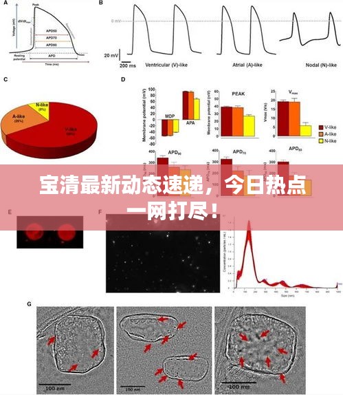 噩噩渾渾 第2頁(yè)