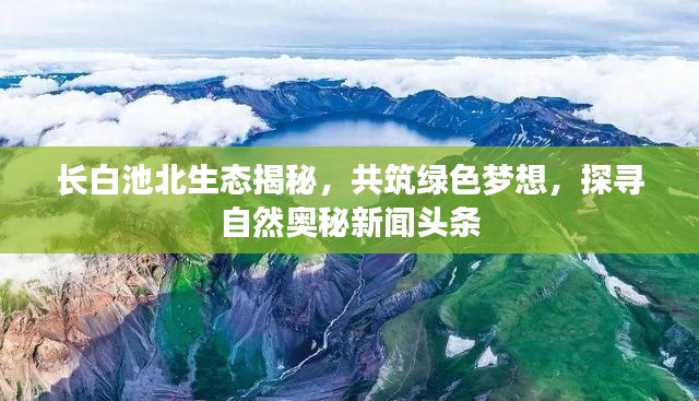 長白池北生態(tài)揭秘，共筑綠色夢想，探尋自然奧秘新聞頭條