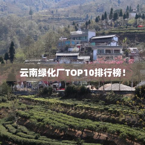 云南綠化廠TOP10排行榜！