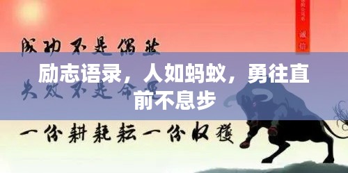 布被瓦器 第2頁(yè)