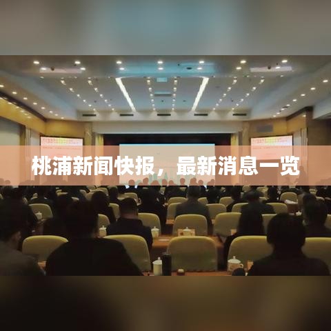 桃浦新聞快報(bào)，最新消息一覽