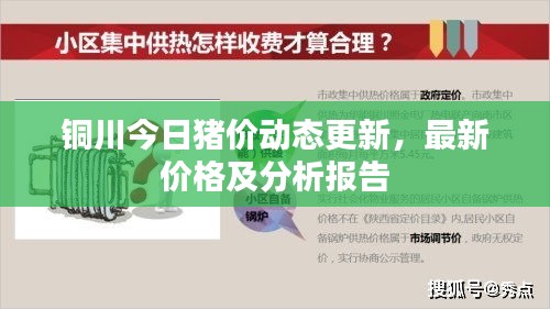 銅川今日豬價(jià)動(dòng)態(tài)更新，最新價(jià)格及分析報(bào)告