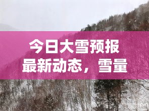 今日大雪預(yù)報(bào)最新動(dòng)態(tài)，雪量、時(shí)間一覽無(wú)余！