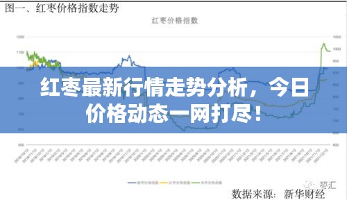 紅棗最新行情走勢分析，今日價(jià)格動態(tài)一網(wǎng)打盡！