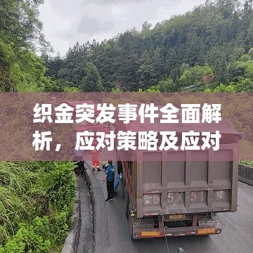 織金突發(fā)事件全面解析，應(yīng)對策略及應(yīng)對之道