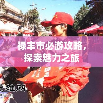 祿豐市必游攻略，探索魅力之旅