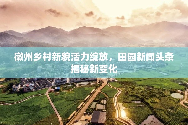 徽州鄉(xiāng)村新貌活力綻放，田園新聞頭條揭秘新變化