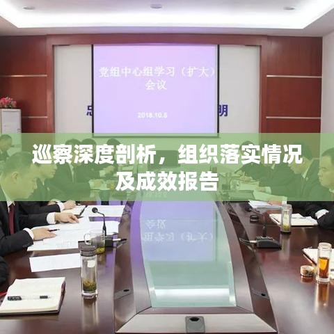 巡察深度剖析，組織落實(shí)情況及成效報(bào)告