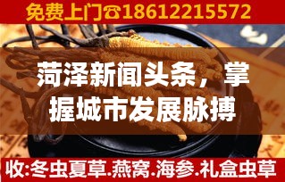 菏澤新聞?lì)^條，掌握城市發(fā)展脈搏，洞察民生動(dòng)態(tài)