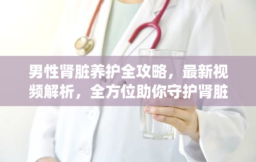 男性腎臟養(yǎng)護(hù)全攻略，最新視頻解析，全方位助你守護(hù)腎臟健康