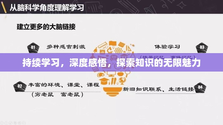 持續(xù)學習，深度感悟，探索知識的無限魅力