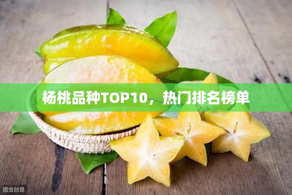 楊桃品種TOP10，熱門排名榜單